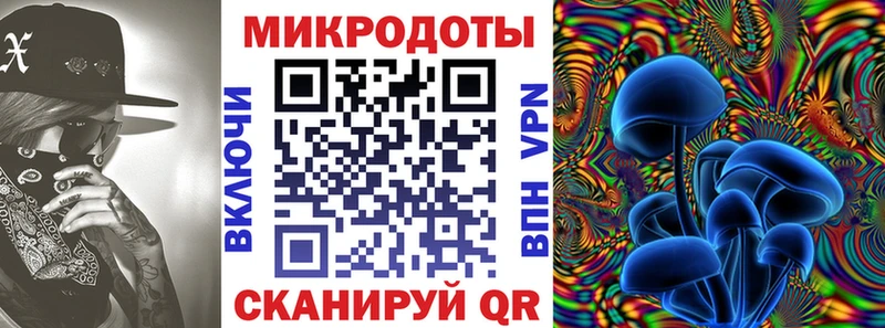 Псилоцибиновые грибы прущие грибы Шахунья