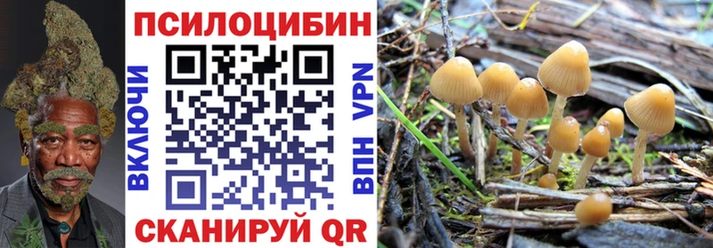 Псилоцибиновые грибы мицелий купить наркоту Шахунья
