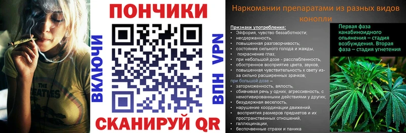 Бошки Шишки марихуана  где можно купить   Шахунья 